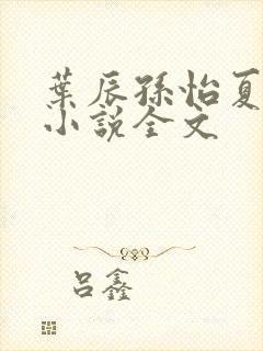 叶辰孙怡夏若雪小说全文