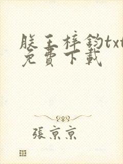 朕王梓钧txt免费下载