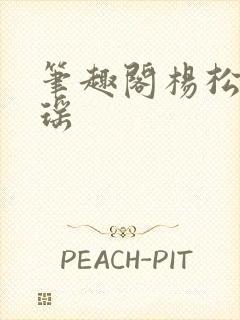 笔趣阁杨松雪辛瑶