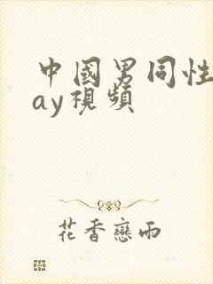 中国男同性恋gay视频