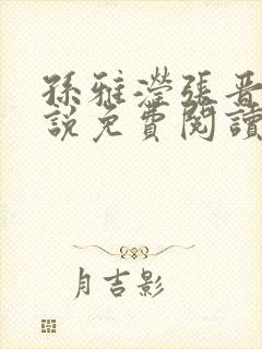 孙雅滢张晋的小说免费阅读无弹窗