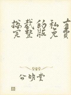 总裁的私有宝贝完整版免费阅读