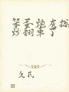 笨蛋炮灰总被爆炒翻车了