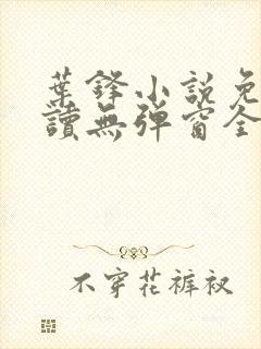 叶锋小说免费阅读无弹窗全文