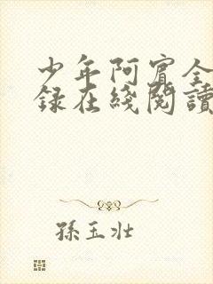 少年阿宾全文目录在线阅读