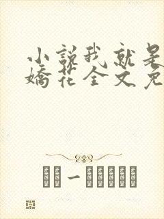 小说我就是如此娇花全文免费阅读