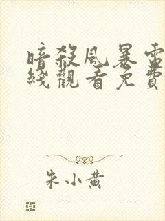 暗杀风暴电影在线观看免费完整版封面