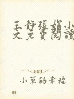 王静张娟小说全文免费阅读封面