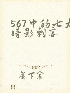 567中的七大暗影刺客
