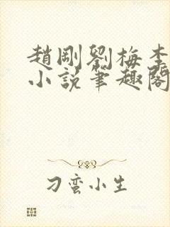 赵刚刘梅李晓雅小说笔趣阁