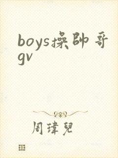 boys操帅哥gv
