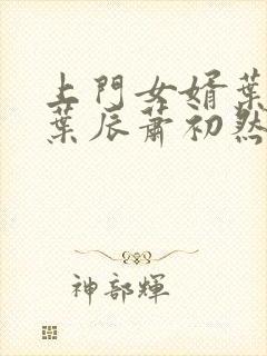 上门女婿叶辰 叶辰萧初然531封面