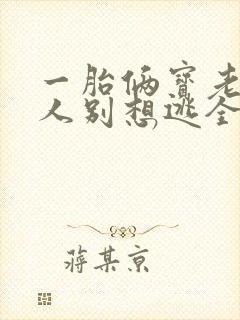 一胎俩宝老婆大人别想逃全文免费阅读