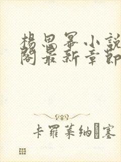 杨思幂小说笔趣阁最新章节