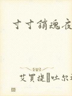 寸寸销魂夜春光