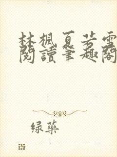 林枫夏若雪全文阅读笔趣阁封面