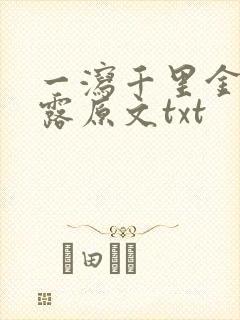 一泻千里金银花露原文txt