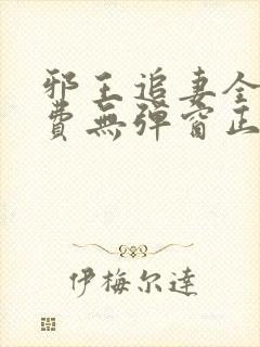 邪王追妻全文免费无弹窗正版