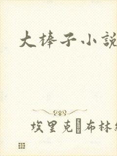 大棒子小说