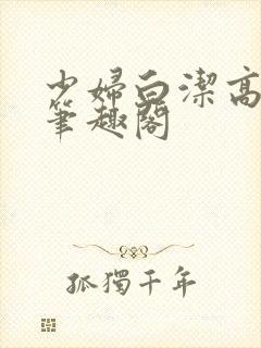 少妇白洁高校长笔趣阁封面