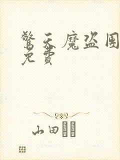 惊天魔盗团高清免费