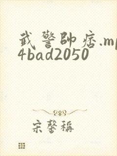 武警帅痞.mp4bad2050