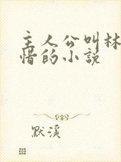 主人公叫林凡叶惜的小说