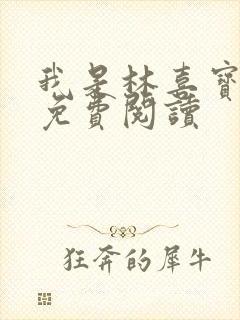 我是林喜宝小说免费阅读