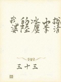 我的冰山总裁老婆陆尘李清瑶