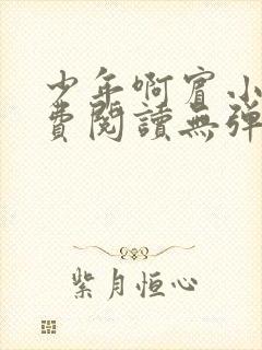 少年啊宾小说免费阅读无弹窗最新章节