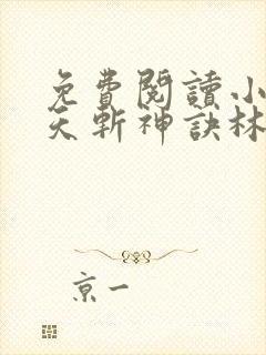 免费阅读小说九天斩神诀林辰封面