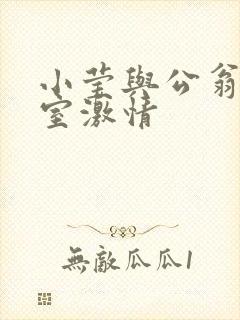 小莹与公翁办公室激情