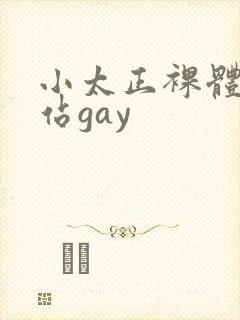 小太正裸体黄网站gay