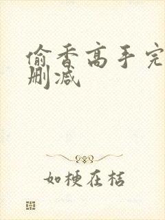 偷香高手完整无删减封面