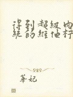 得到超级肉禽系统的维他柠檬茶