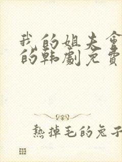 我的姐夫会是我的韩剧免费观看完整版电视剧