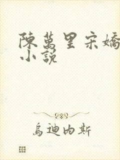 陈万里宋娇娇的小说