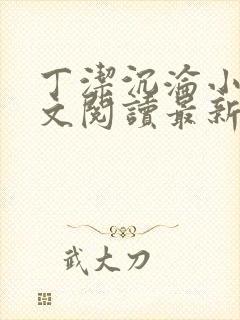 丁洁沉沦小说全文阅读最新章节更新