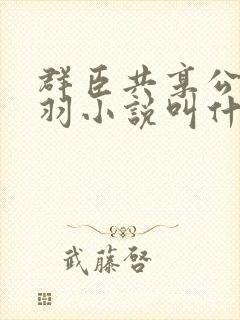 群臣共享公主银羽小说叫什么