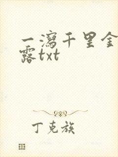 一泻千里金银花露txt