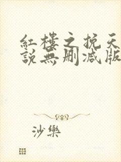 红楼之挽天倾小说无删减版