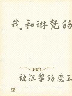 我和琳梵的故事