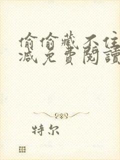 偷偷藏不住无删减免费阅读小说封面