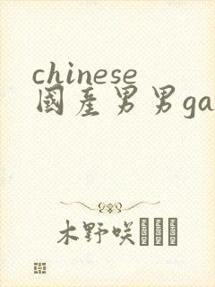 chinese国产男男gay网站封面