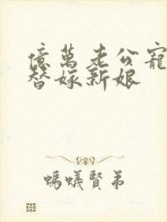 亿万老公宠上天替嫁新娘