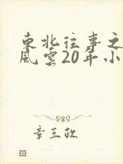 东北往事之黑道风云20年小说