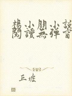 杨小朋小说免费阅读无弹窗封面