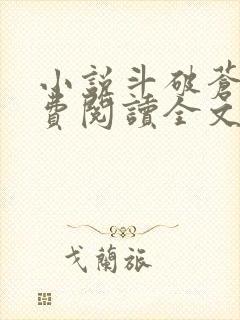 小说斗破苍穹免费阅读全文无窗口