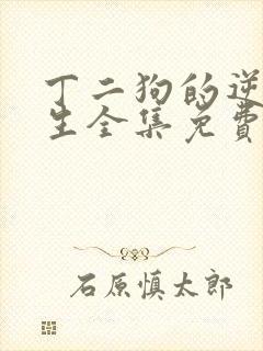 丁二狗的逆袭人生全集免费观看封面