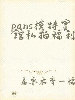 pans模特宾馆私拍福利视频